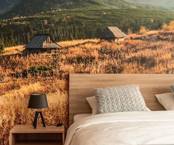 Interdom 자코파네