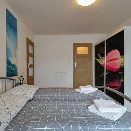 公寓 Interdom 扎科帕内